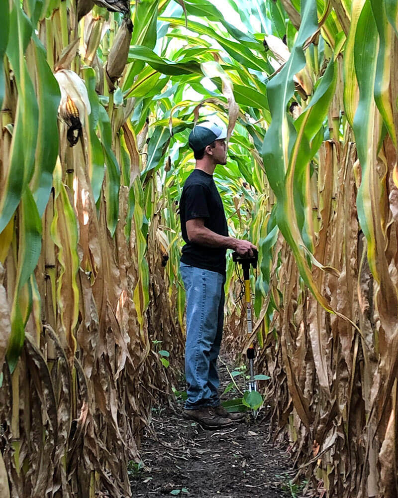 POGO scouting corn field MACs Ag Services Wisconsin