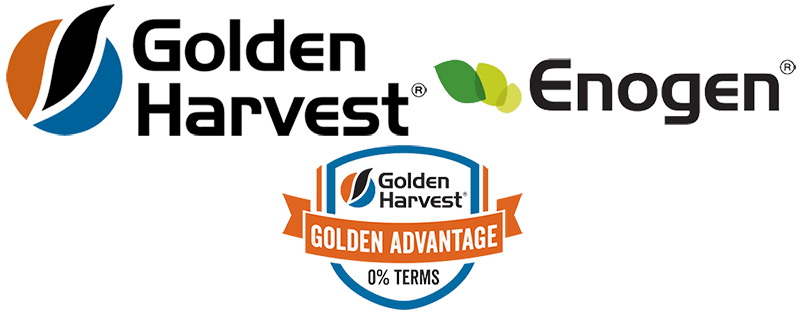 golden-harvest-enogen-seed-golden-advantage